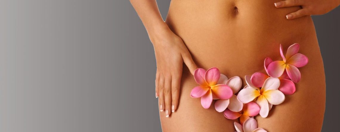 Женские половые органы