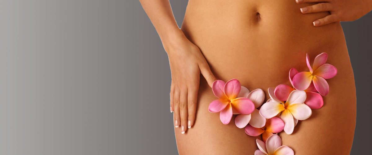 Женские половые органы