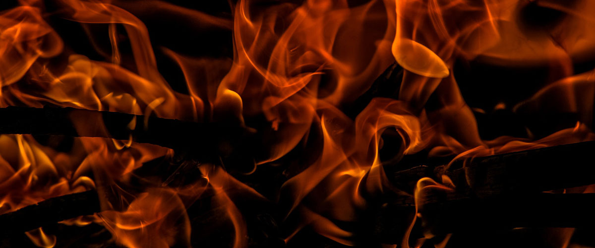 Горящие курсы